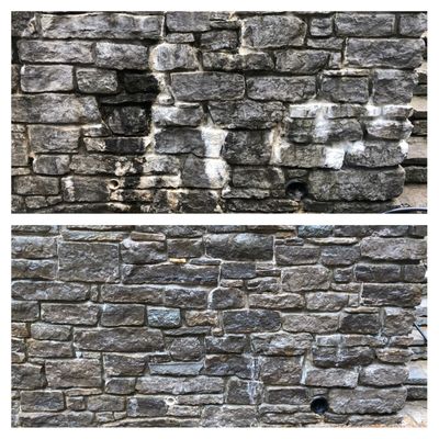 Palm City Wash N Seal Logo