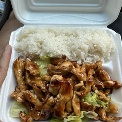 Hibachi Japanese Express - L2 L2. Teriyaki Chicken