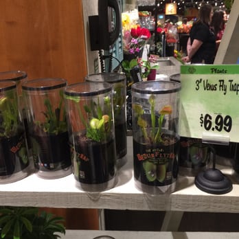 Wegmans Wine & Beer - Yes! - Beer, Wine & Spirits Near Me - Alexandria, Virginia