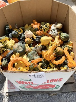 Westervelt Farms by null