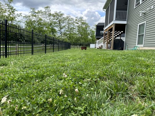 Lawn Mowing - Some properties we have mowed!