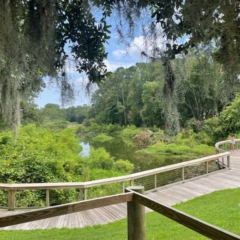 Cypress Wetlands - Entrance - Parks Near Me - Port Royal, South Carolina
