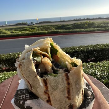 Bear Flag Fish - Diablo burrito - missing seasoning - Seafood Markets Near Me - Newport Beach, California Bear Flag Fish - Diablo burrito - missing seasoning - Seafood Markets Near Me - Newport Beach, California