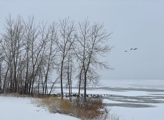 Cherry Creek State Park by null