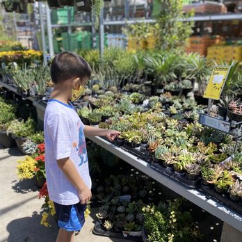 The Home Depot - Which one to get? - Nurseries & Gardening Near Me - West Covina, California The Home Depot - Which one to get? - Nurseries & Gardening Near Me - West Covina, California