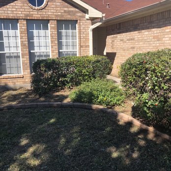 Est Providere Lawn Care - Woody did an excellent job at the property. Trimmed all the bushes and cleaned out the beds! - Lawn Services Near Me Est Providere Lawn Care - Woody did an excellent job at the property. Trimmed all the bushes and cleaned out the beds! - Lawn Services Near Me