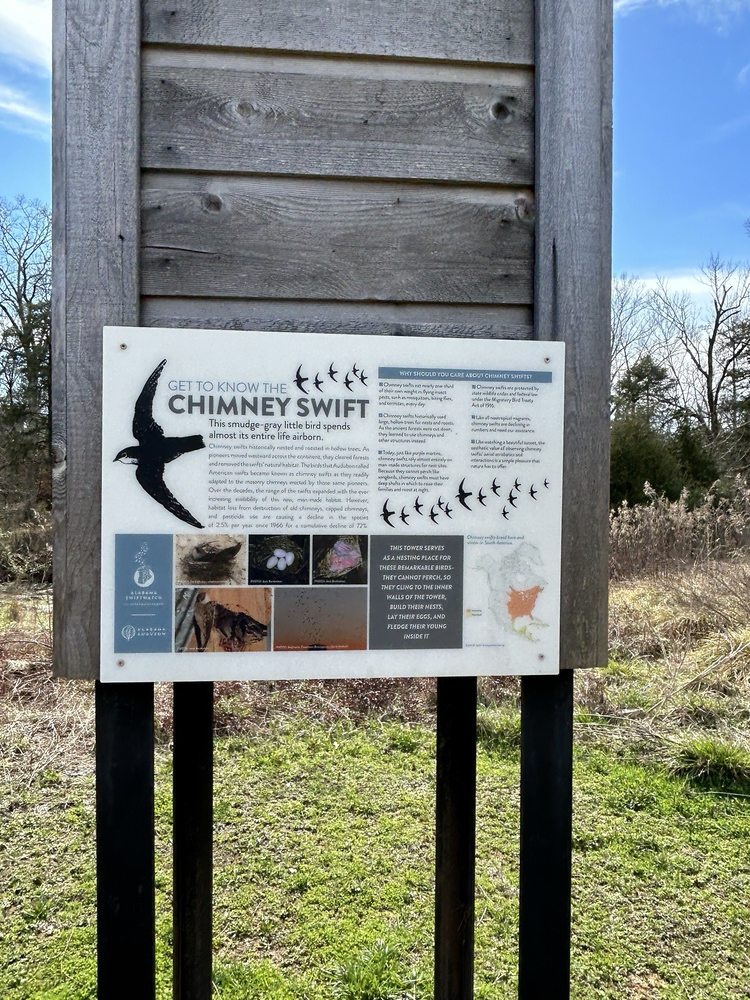 Social spots from Shoal Creek Park