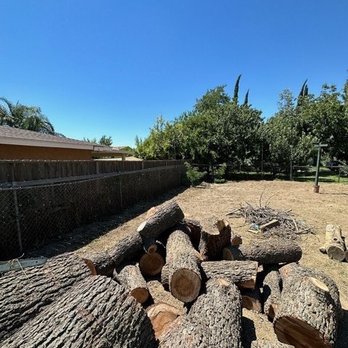 MTC Tree Care - Tree Services Near Me - Riverside, California