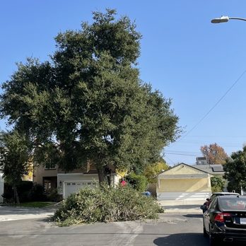 Bernabe Tree Service - After - Tree Services Near Me - Riverside, California