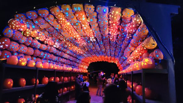 The Great Jack O’Lantern Blaze: Hudson Valley by null