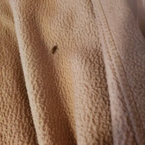 MOTEL 6 - Updated June 2024 - 117 Photos & 75 Reviews - 5909 American