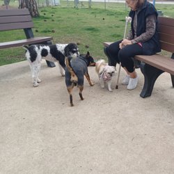 Gulf Shores Dog Park - Miss Chip had a blast with me today.  Last stop is to allow other puppies to admire her new hairdo @ the park :-)
