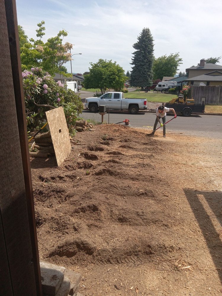 Woody's Stump Grinding and Removal - tree service in Eugene, OR