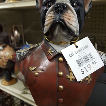 At Home - I'm sensing a dog theme here. - Home Decor Near Me - Schaumburg, Illinois