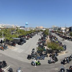 Boozy Egg - Bike week