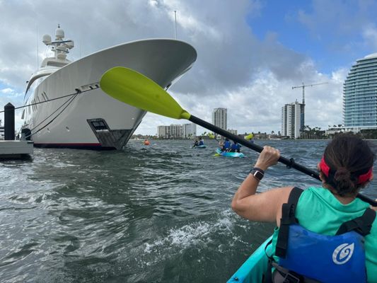 Visit Palm Beach by null