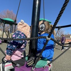 Nancy Lewis Park - Web swing