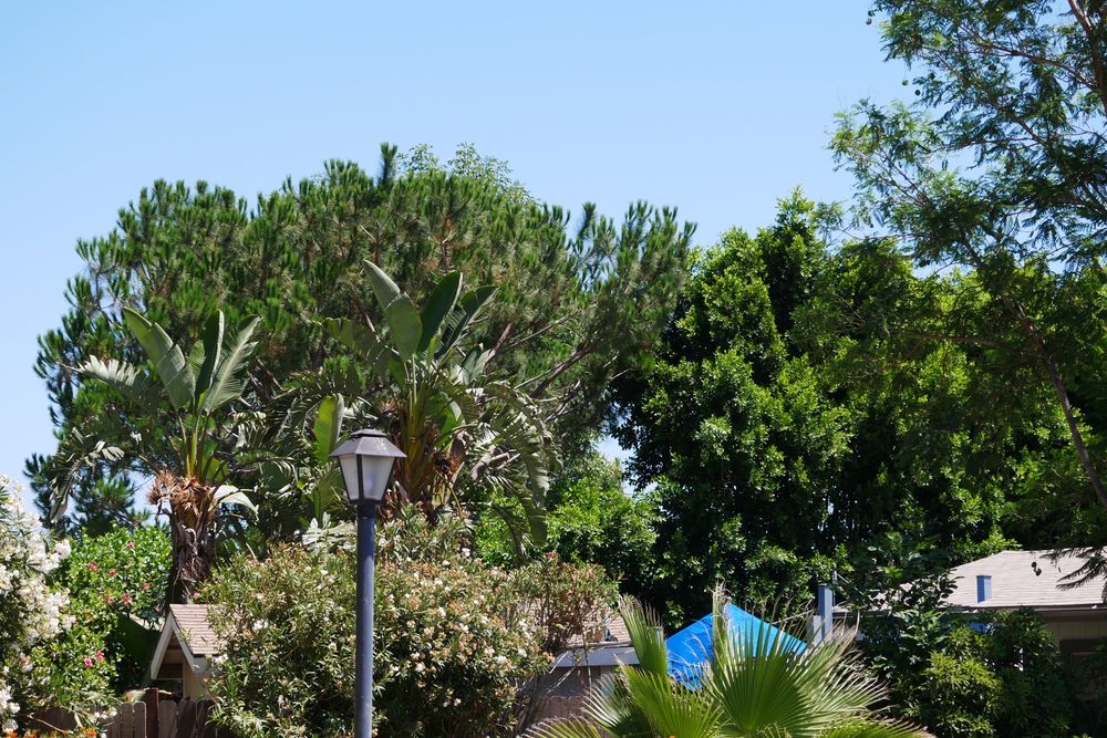 OAKRIDGE MOBILE HOME PARK Updated August 2024 17 Photos & 16