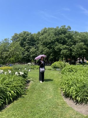 Oz Park by null