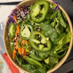 The High Country - Gochu Bang Chicken Bowl
