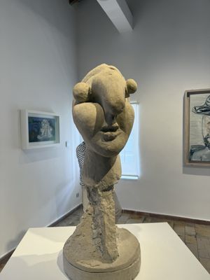 Musée Picasso by null