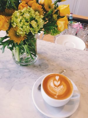 Elm Coffee Roasters by null