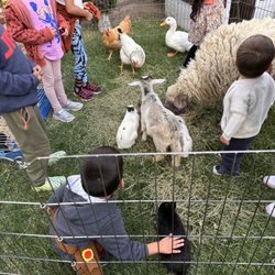 El Sol Montessori - Kids at El Sol Fall Festival 2023.