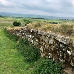 Peter Carney: Hadrian's Wall Guide - Hadrian's Wall