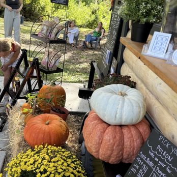 Vanilla Bean Bakery and Coffee - Fall decor - Food Trucks Near Me - Odessa, Florida Vanilla Bean Bakery and Coffee - Fall decor - Food Trucks Near Me - Odessa, Florida