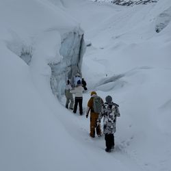 Alaska's Finest Tours & Cruises