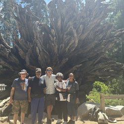 Incredible Adventures - Yosemite national Park with family and tour guide