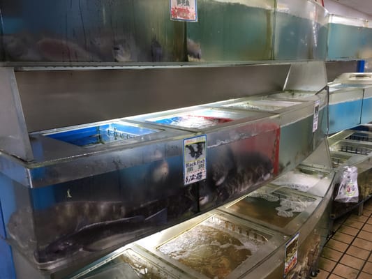 C-Mart Supermarket by null