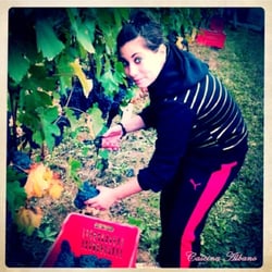 Cascina Albano - Elisabetta colta con le mani nel grappolo!