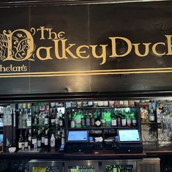 The Dalkey Duck
