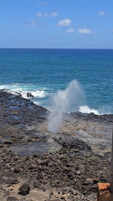 Spouting Horn by null