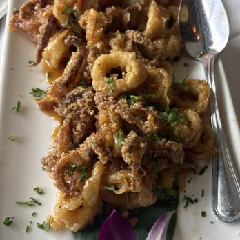 Billy's Stone Crab Restaurant - Calamari - Seafood Near Me - Hollywood, Florida Billy's Stone Crab Restaurant - Calamari - Seafood Near Me - Hollywood, Florida