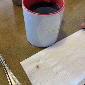 Sunny Side Solana - Bug that I took out of my coffee - Breakfast & Brunch Near Me - Solana Beach, California Sunny Side Solana - Bug that I took out of my coffee - Breakfast & Brunch Near Me - Solana Beach, California