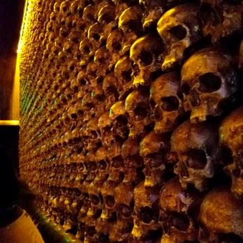 Noble Experiment - Amazing skull wall - Cocktail Bars Near Me - San Diego, California