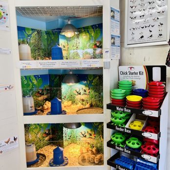 Belmont Feed and Seed Belmont Feed and Seed