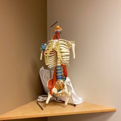 Seattle Spine & Sports Medicine