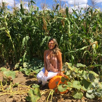 Bates Nut Farm - Specialty Food Near Me - Valley Center, California Bates Nut Farm - Specialty Food Near Me - Valley Center, California