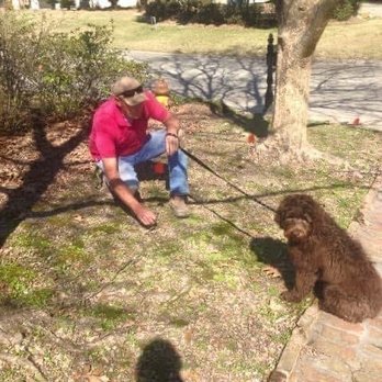 Bayou Boundaries - Electric shock collar installation South Louisiana - Fences & Gates Near Me - Crowley, Louisiana
