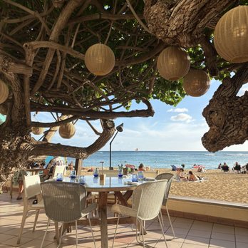 Hau Tree - Seating - Seafood Near Me - Honolulu, Hawaii