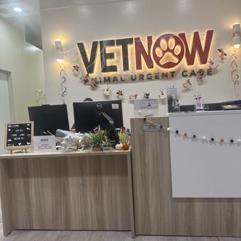 VetNow - Emergency Pet Hospital Near Me - Studio City, California