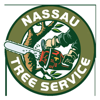 Tree Service Nassau NY - Tree Service Nassau NY Corp - Tree Services Near Me - Glen Cove, New York Tree Service Nassau NY - Tree Service Nassau NY Corp - Tree Services Near Me - Glen Cove, New York