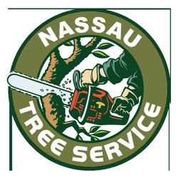 Tree Service Nassau NY - Tree Service Nassau NY Corp