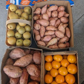 Roots Produce - Farmers Market Near Me - Evans, Georgia Roots Produce - Farmers Market Near Me - Evans, Georgia