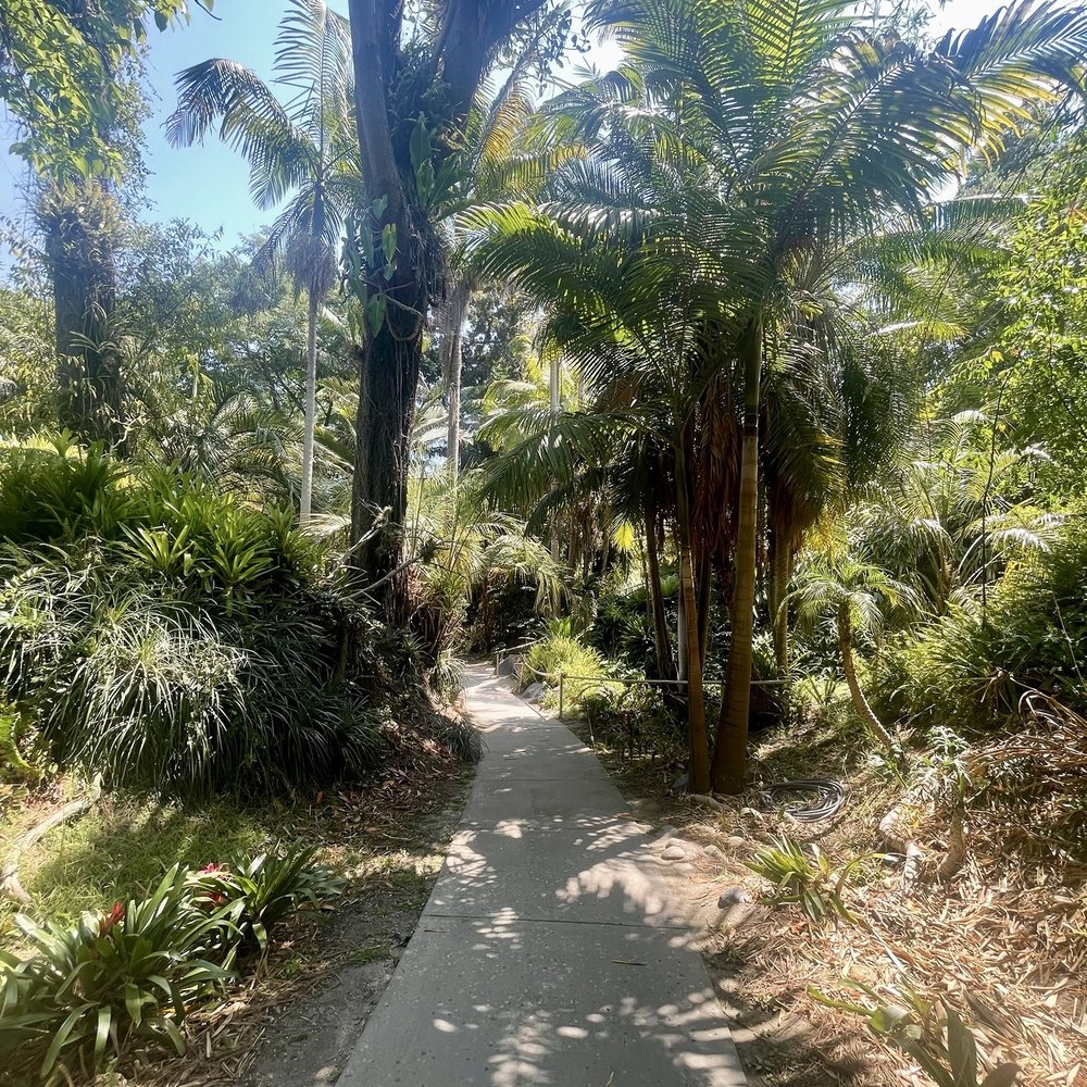 San Diego Botanic Garden - Botanical Gardens Near Me - Encinitas, California