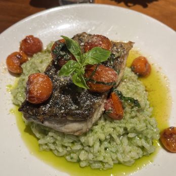 The Milky Way - Barramundi and Rissoto - Kosher Near Me - Los Angeles, California The Milky Way - Barramundi and Rissoto - Kosher Near Me - Los Angeles, California