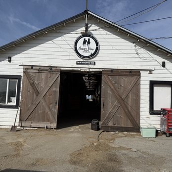 Ocean View Stables - Horseback Riding Near Me - Daly City, California